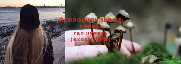 круглые Богородицк